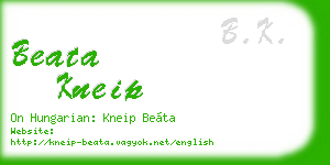 beata kneip business card